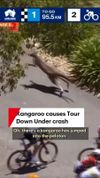 Doi canguri au provocat haos în Turul Down Under. Jay Vine a căzut de pe bicicletă (FOTO: 7News Adelaide)