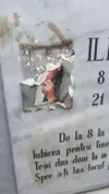Mormântul lui Ilie Balaci, vandalizat. Foto: as.ro