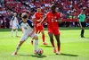 Debutul lui Bajraktarevic la Mondial, Bosnia - Canada 1-1. Foto: Imago