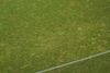 Dinamo - Craiova. Imagini cu gazonul stricat de pe Arcul de Triumf (9).jpeg