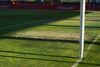 Starea gazonului de pe „Ilie Oană”, înainte de Petrolul - Rapid. Foto: Vlad Nedelea/GOLAZO.ro