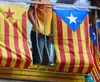 Estelada Vermella (cea cu stea roșie, prima variantă apărută, spectru politic de centru-dreapta până la centru-stânga) și Estelada Blava (cea cu triunghi albastru și stea albă, asociată cu stânga radicală)