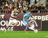 Rapid - FC Voluntari, meci (foto: Iosif Popescu/GOLAZO.ro)