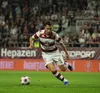 Rapid - FC Voluntari, meci (foto: Iosif Popescu/GOLAZO.ro)