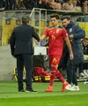 Suedia - România FOTO Iosif Popescu GOLAZO (8).jpeg