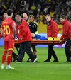 Emil Holm a fost scos pe targă de pe teren (foto: Sport Pictures)