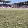 Cum arată gazonul pe stadionul Giulești