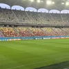 FCSB - Riga: gazon impecabil pe Arena Națională