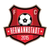 afc hermannstadt