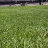 A început instalarea gazonului pe Camp Nou/ Foto: Facebook @ FC Barcelona.jpeg