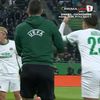 Mirel Rădoi, eliminat în Rapid Viena - Universitatea Craiova FOTO Captură video Prima Sport 1