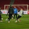 FCSB, antrenament oficial inainte de Steaua Rosie FOTO GOLAZO (4).jpg
