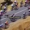 Doi canguri au provocat haos în Turul Down Under. Jay Vine a căzut de pe bicicletă (FOTO: 7News Adelaide)