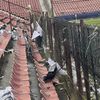 Pagubele create de suporterii lui U Cluj după derby-ul cu CFR. Foto: Facebook/Peluza Vișinie