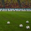 Cum arată gazonul pe Arena Națională la FCSB - Metaloglobus. FOTO GOLAZO (1).jpeg