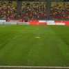 Cum arată gazonul pe Arena Națională la FCSB - Metaloglobus. FOTO GOLAZO (2).jpeg