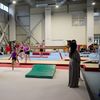 Evenimentul COSR - AnimaWings, dedicat parteneriatului pentru Team Romania. Foto: Raed Krishan / GOLAZO.ro