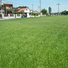 U Craiova, gazonul de pe stadionul Ion Oblemenco va fi schimbat complet (2).jpg