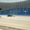U Craiova, gazonul de pe stadionul Ion Oblemenco va fi schimbat complet (6).jpg