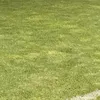 Cum arată gazonul de pe „Arcul de Triumf” înainte de Dinamo - FCSB. Foto: GOLAZO.ro