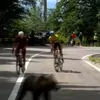 Un urs le-a tăiat calea cicliștilor în Turul Sibiului (FOTO: captură YouTube - Livestream Romania)
