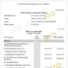 Facsimil: documentele fiscale depuse de Damjan Djokovic în Croația