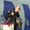 Haaland a coborât din avion cu un raton împăiat care ține o sticlă de băutură. Capturi X (2).jpeg