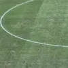 Gazonul de pe Ghencea înainte de FCSB - FC Argeș. FOTO Theodor Jumătate GOLAZO.ro