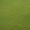 Dinamo - Craiova. Imagini cu gazonul stricat de pe Arcul de Triumf (3).jpeg