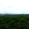 Formula 1 revine în Malaezia după o pauză de nouă ani. Momente memorabile de pe circuitul de la Sepang. Foto: X/@F1