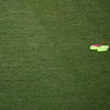 FCSB - Farul, înainte de meci. FOTO GOLAZO.ro
