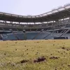 Stadionul celor de Chernomorets Odesa, atacat de ruși / foto: chornomorets.ua