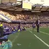 Momentul în care Mourinho s-a enervat după intrarea Evei Carneiro pe teren. Foto: captură YouTube