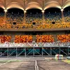 Gazonul de pe Arena Națională, la 3 luni după începerea evenimentelor / foto: capturi TikTok/Saga Festival