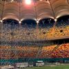 Gazonul de pe Arena Națională, la 3 luni după începerea evenimentelor / foto: capturi TikTok/Saga Festival
