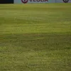 Starea gazonului de pe „Ilie Oană”, înainte de Petrolul - Rapid. Foto: Vlad Nedelea/GOLAZO.ro