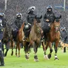 Incidente majore la Mannheim - Kaiserslautern, în Cupa Germaniei
