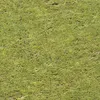 Așa arată gazonul de pe stadionul Arcul de Triumf, înainte de Dinamo - U Cluj (foto: Vlad Nedelea/GOLAZO.ro)