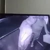 Regis Pitbull, fost fotbalist la Corinthians, în timp ce agresează un bărbat în vârstă într-un lift. Foto: ge.globo.com