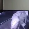 Regis Pitbull, fost fotbalist la Corinthians, în timp ce agresează un bărbat în vârstă într-un lift. Foto: ge.globo.com
