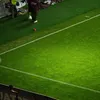 Cum arată gazonul de pe Giulești, înainte de Rapid - FC Voluntari (foto: Vlad Nedelea/GOLAZO.ro)