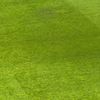 Gazonul de pe Giulești la meciul Rapid - FC Argeș FOTO GOLAZO (1).jpeg