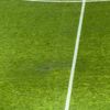 Gazonul de pe Giulești la meciul Rapid - FC Argeș FOTO GOLAZO (2).jpeg