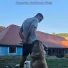 David Popovici în vacanță prin România. FOTO instagram (1).jpeg