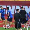 Bosnia, conferință înainte de meciul cu România FOTO Raed Krishan GOLAZO (1).jpg