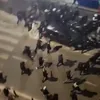 Ultrașii lui Marseille și AEK Atena, în căutarea suporterilor lui Olympiacos prin hotelurile din oraș. Sursa Facebook  @Casual Ultra