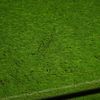 Gazonul din Giulești la Rapid - Corvinul FOTO GOLAZO (1).jpg