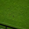 Gazonul din Giulești la Rapid - Corvinul FOTO GOLAZO (3).jpg