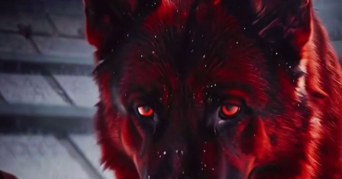 „De vulturii din Giulești n-am auzit” / Dezbatere în direct, după clipul postat de Dinamo: „Nicolescu era foarte deranjat de manifestările lui Petre, acum n-are nicio reacție”