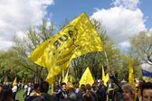 Una dintre vocile din PSD cele mai aspre la adresa guvernării Bolojan avertizează ce arată sondajele interne în cazul alegerilor anticipate: „Va fi greu să nu nominalizeze un premier AUR” 